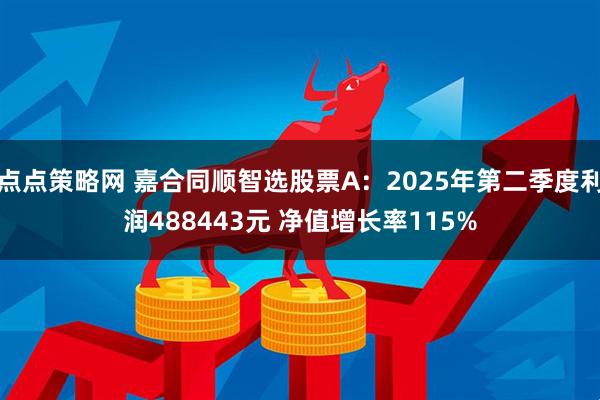 点点策略网 嘉合同顺智选股票A：2025年第二季度利润488443元 净值增长率115%