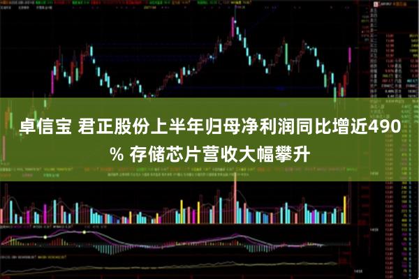 卓信宝 君正股份上半年归母净利润同比增近490% 存储芯片营收大幅攀升