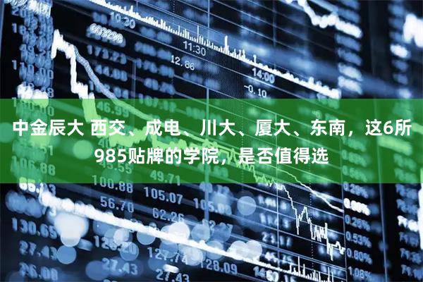 中金辰大 西交、成电、川大、厦大、东南，这6所985贴牌的学院，是否值得选